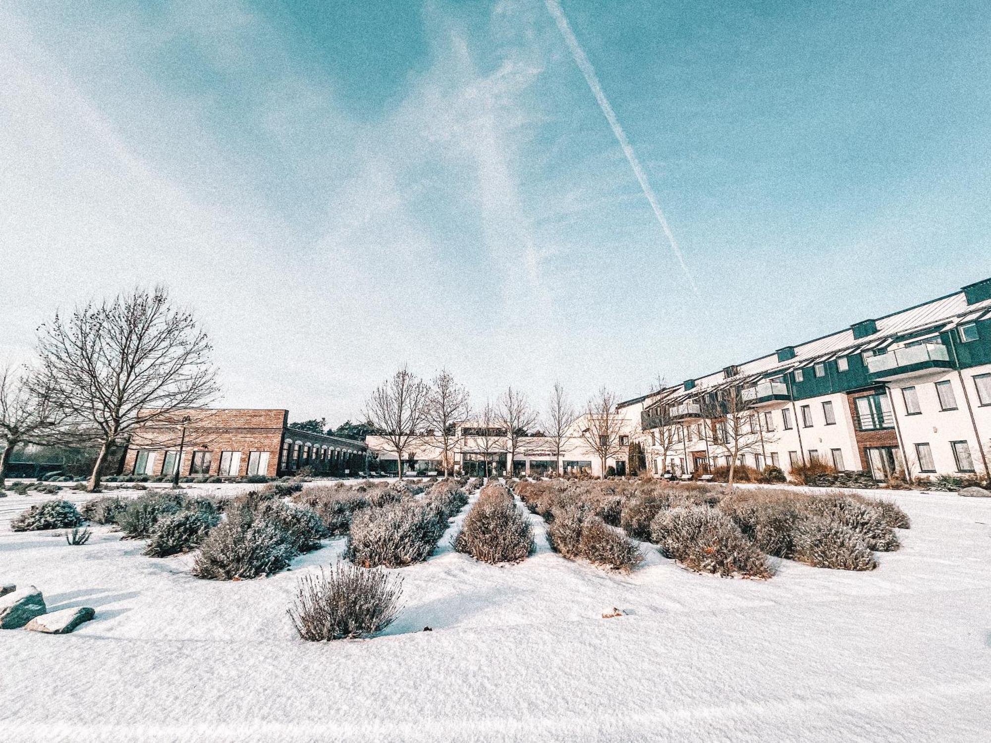 Hotel Lawendowe Termy Uniejow Esterno foto