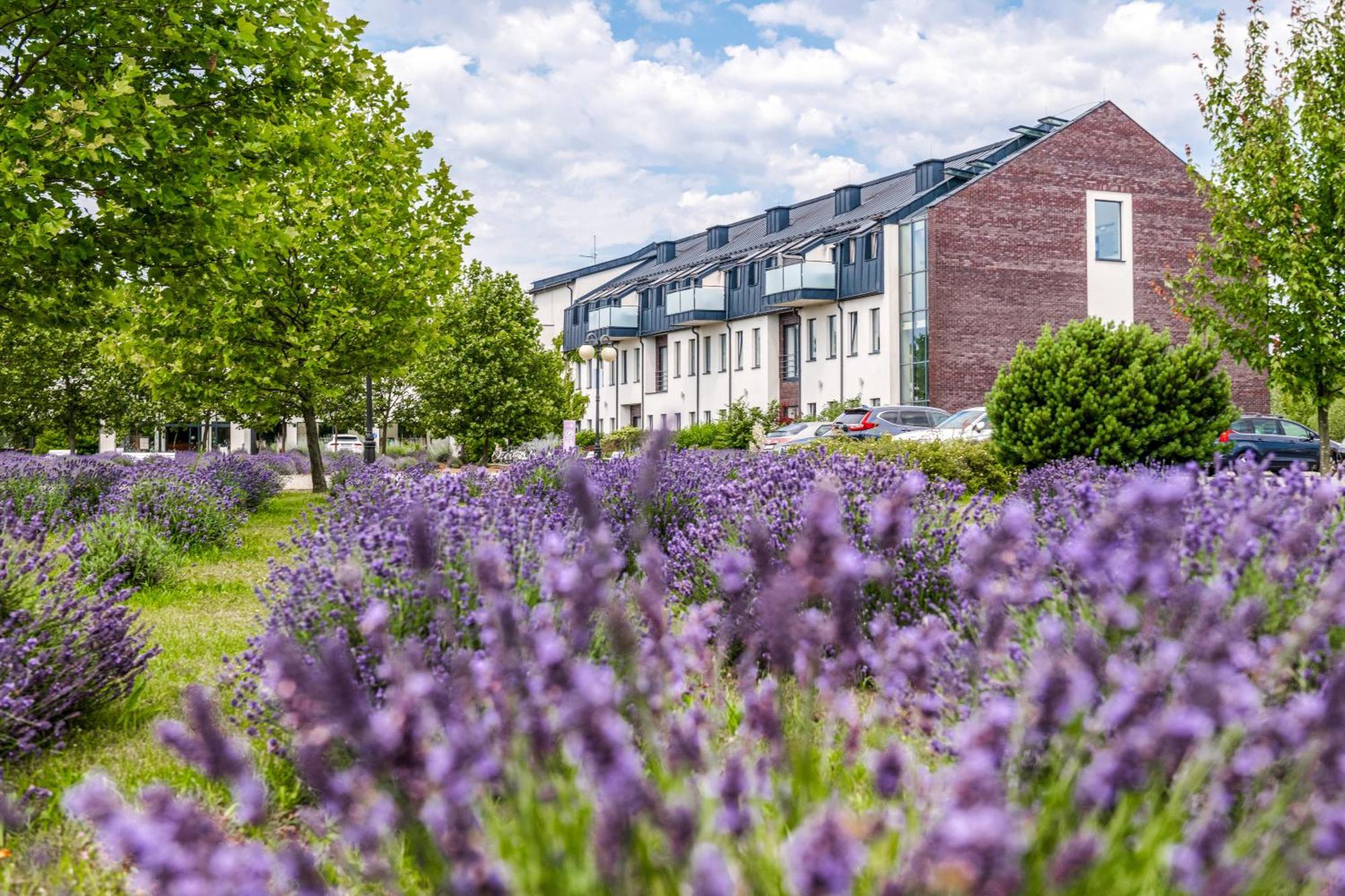 Hotel Lawendowe Termy Uniejow Esterno foto